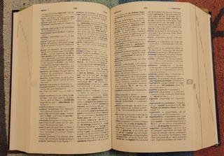 Diccionario Español - Alemán VOX / Klett