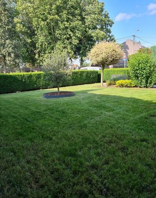 Jardinero particular 