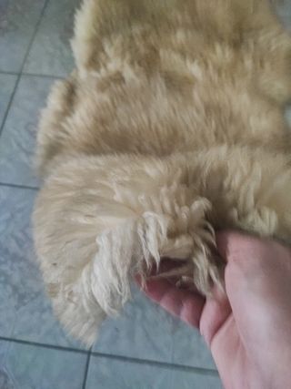 Tappeto