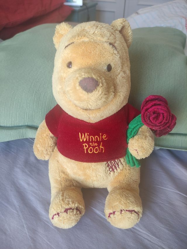 Winnie the Pooh