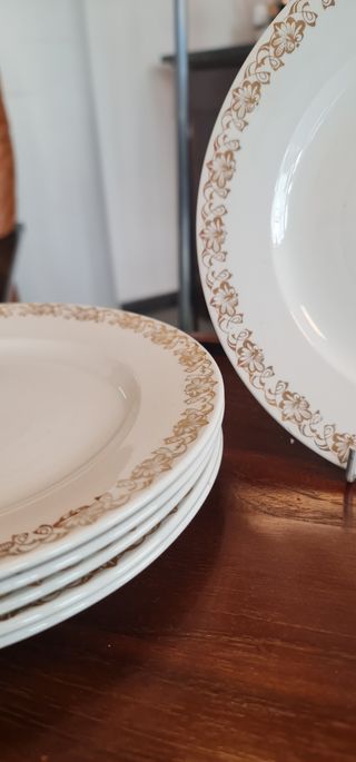 6 Platos llanos Royal China