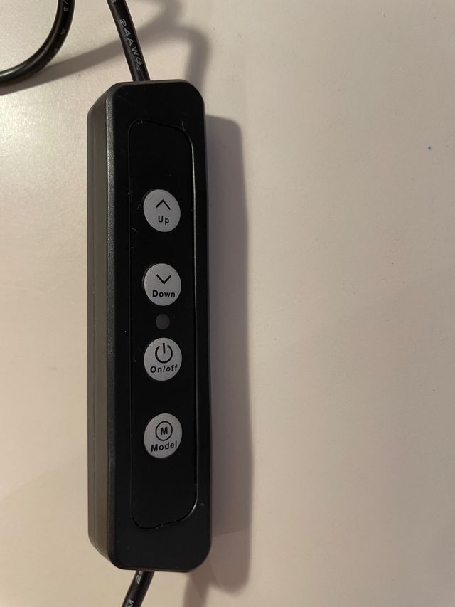 Detalle comunión: aro de luz