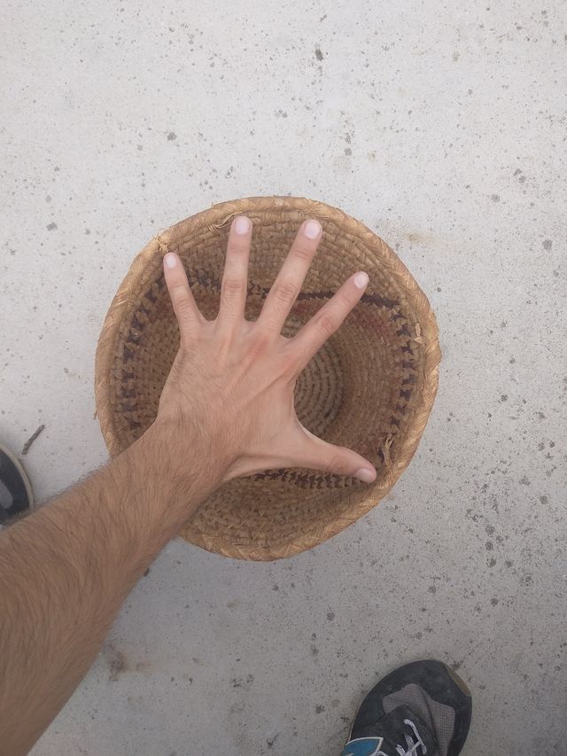 Cesto de mimbre para maceta