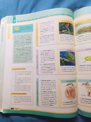 Libro Biología y Geología Vicens Vives