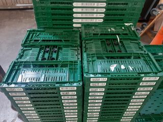 Lote 4 cajas pequeñas plegables apilables (CO26 )