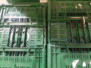 Lote 4 cajas pequeñas plegables apilables (CO26 )