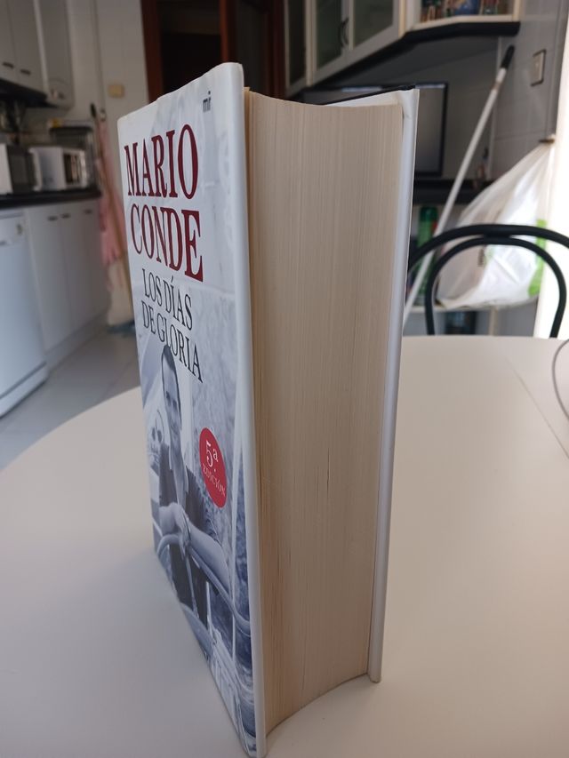 MARIO CONDE, (Los días de gloria