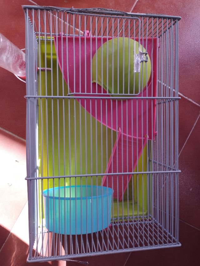 Jaula de hamster. Dos jaulas