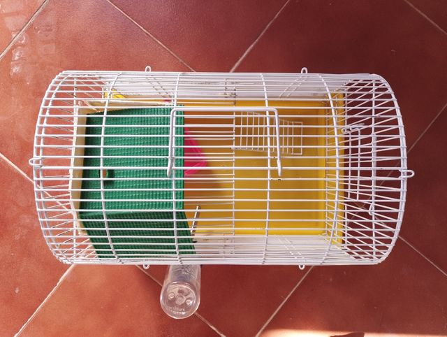 Jaula de hamster. Dos jaulas