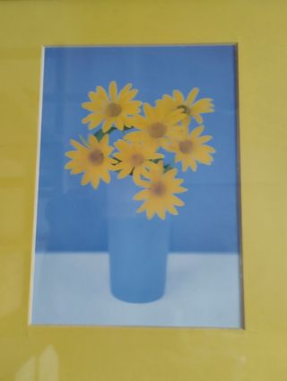 Cuadro flores ikea