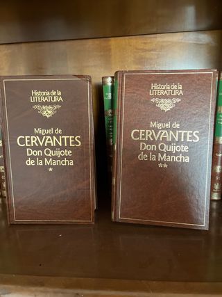 Historia de la literatura RBA