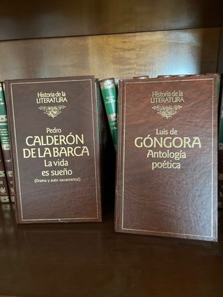 Historia de la literatura RBA