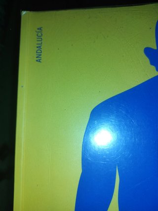 Historia ciencias Sociales 4 Anaya Andalucia
