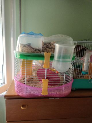 Gabbia di criceto con doppio piano