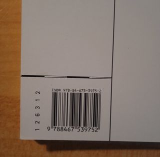 Un extraño en el tejado