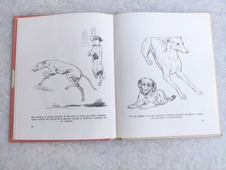 Como dibujar perros, Emilio Freixas (1967)