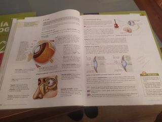 BIOLOGÍA Y GEOLOGIA 3° ESO