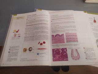 BIOLOGÍA Y GEOLOGIA 3° ESO