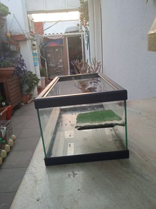 Acuario para tortugas