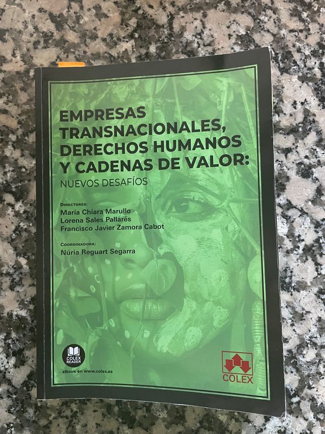 EMPRESAS TRANSNACIONALES Y DERECHOS HUMANOS