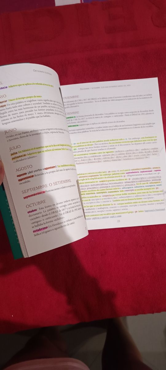 Libro ortografía ilustrada