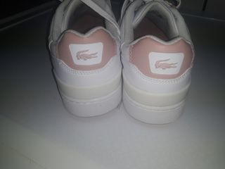 Bambas lacoste 37/5