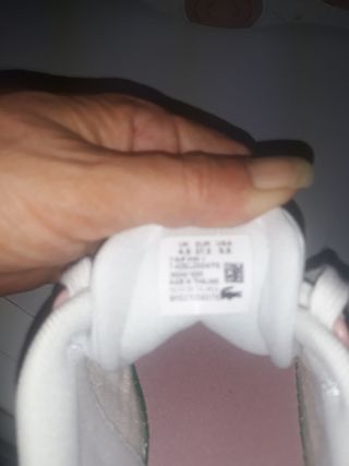 Bambas lacoste 37/5