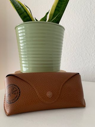 Gafas de sol Ray-Ban Wayfarer