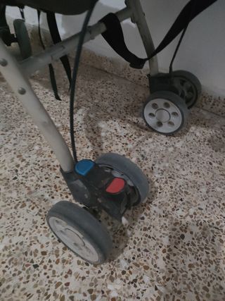 carro para niños