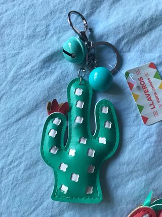 Llaveros cactus