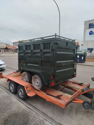 Grua coches, transporte vehículos clásicos, micro