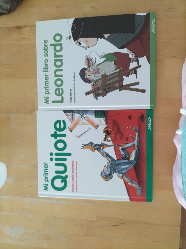 Quijote y Leonardo de Vinci