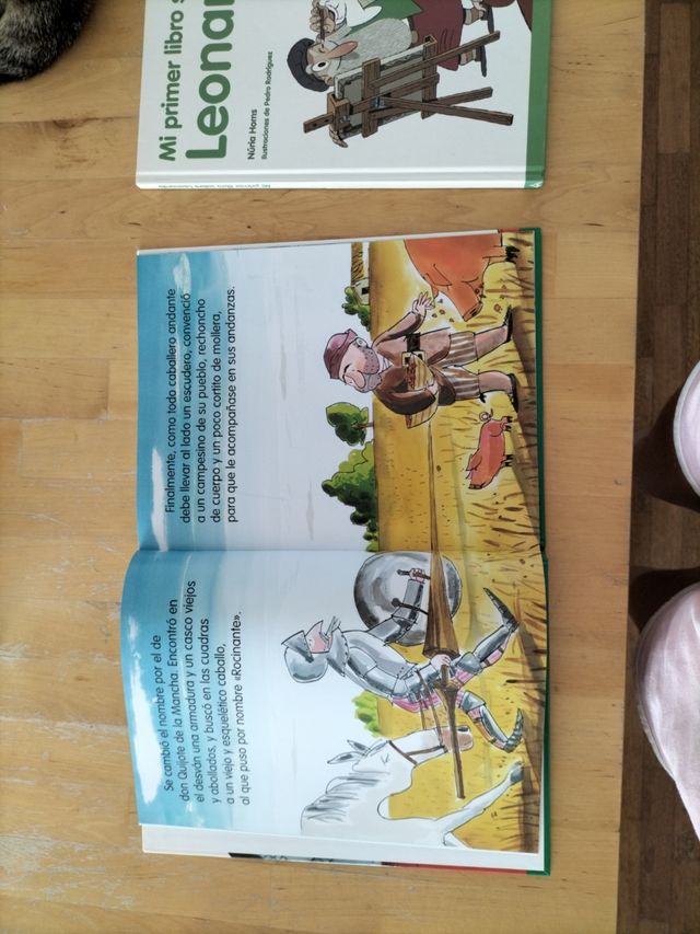 Quijote y Leonardo de Vinci