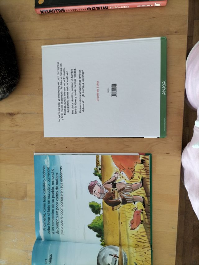 Quijote y Leonardo de Vinci