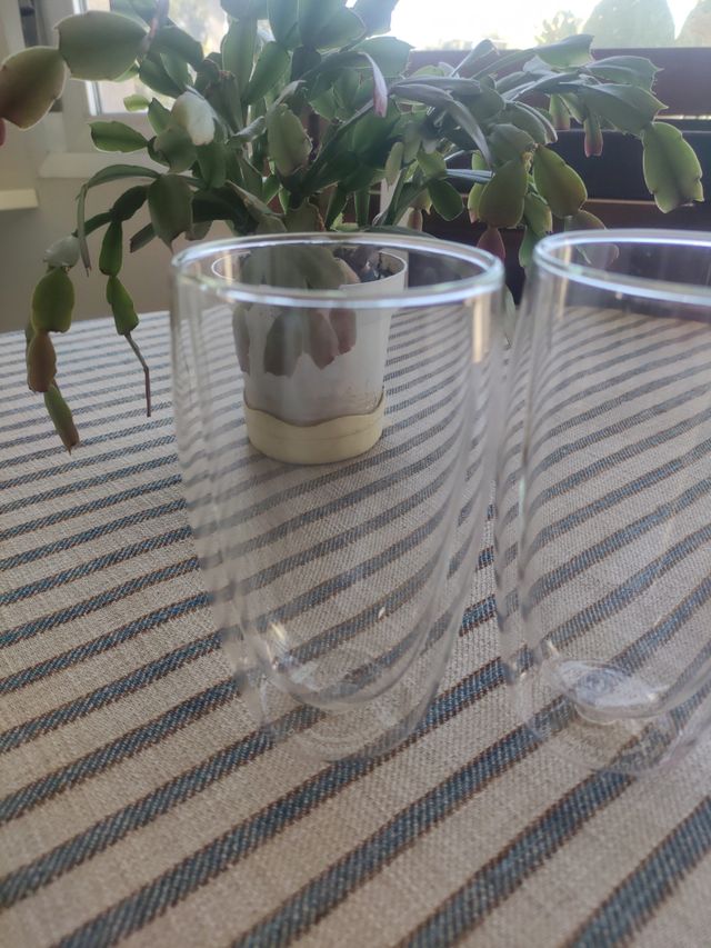 2 vasos Bodum doble pared cristal