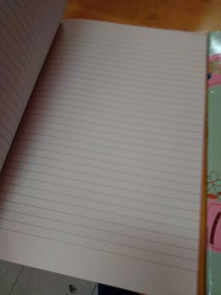 2 quadernoni a righi di Barbie