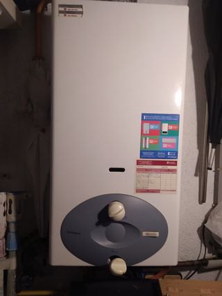 SE REPARA CALENTADORES DE GAS