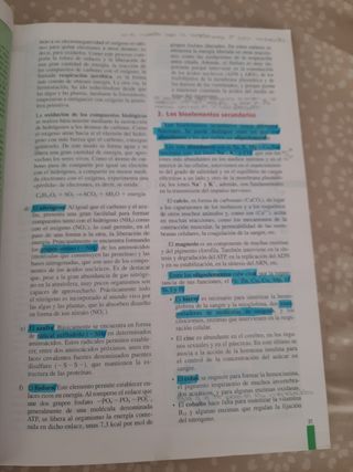 Libro de texto
