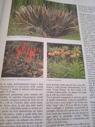 Enciclopedia pratica di giardinaggio e orticoltura