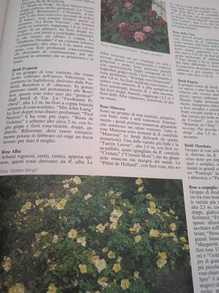 Enciclopedia pratica di giardinaggio e orticoltura