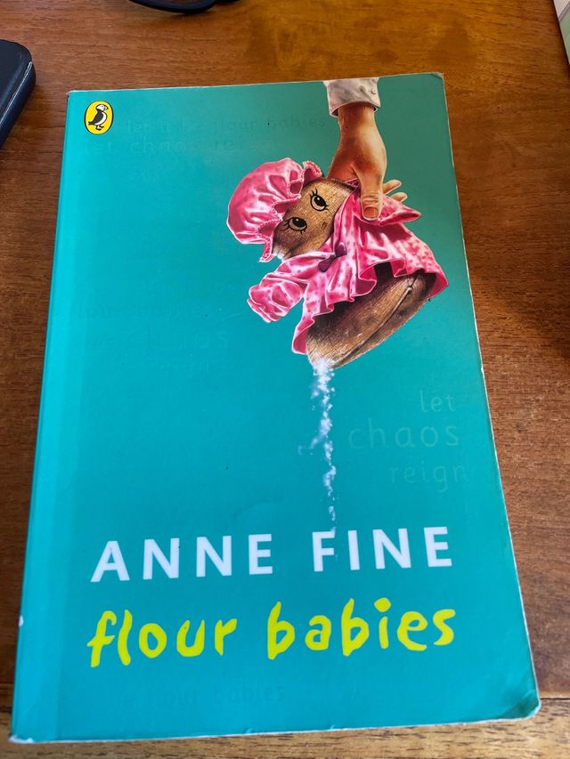 Libro in inglese- «Flour Babies» +10 anni
