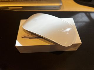 Magic Mouse 