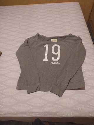 Sudadera Hollister