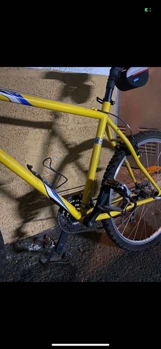 Bicicleta