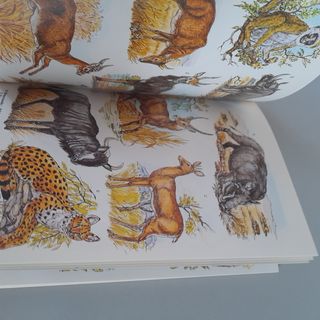 Wild animals of the world