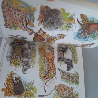 Wild animals of the world