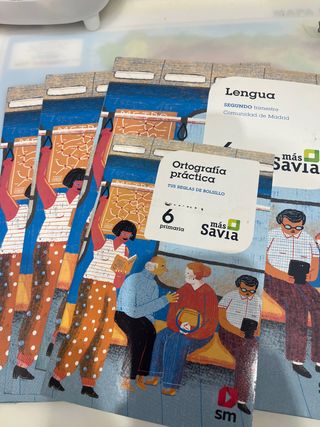 Libros de lengua, sexto de primaria editorial SM