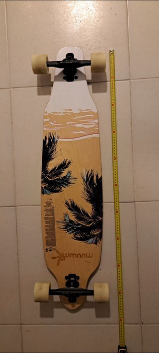 SKATE LONGBOARD