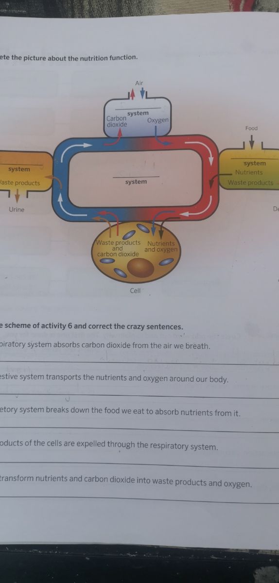 Scienze naturali 5 Il nostro corpo e la salute Oxford