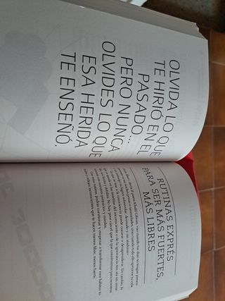 Vendo libro Elsa Punset 